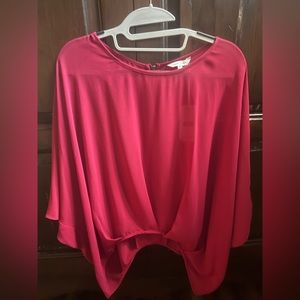 Sheer Naked zebra blouse